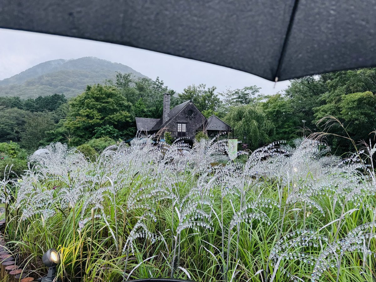 cxxv1l's tweet photo. ふぃんちゃんとデートしてきた
すすき雨で残念だったけど超楽しかった😉 https://t.co/jahMzY4PmP