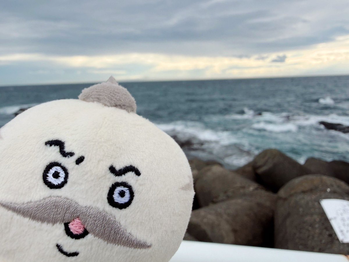 Razoku_lover's tweet photo. 長かった休みが終わる前に、島二郎と江ノ島へお散歩🏝️
アツアツのたこせんべい🐙、生しらす丼、少し波が荒い海を眺めて充電⚡️
来月からは年末までフル稼働で突っ走らなくては💦

島二郎の貝を採りたそうな顔が…な‼︎ https://t.co/eD2LTtTo3i