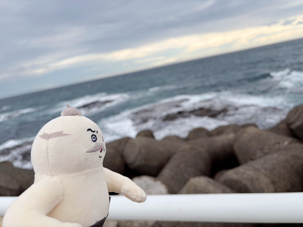 Razoku_lover's tweet photo. 長かった休みが終わる前に、島二郎と江ノ島へお散歩🏝️
アツアツのたこせんべい🐙、生しらす丼、少し波が荒い海を眺めて充電⚡️
来月からは年末までフル稼働で突っ走らなくては💦

島二郎の貝を採りたそうな顔が…な‼︎ https://t.co/eD2LTtTo3i