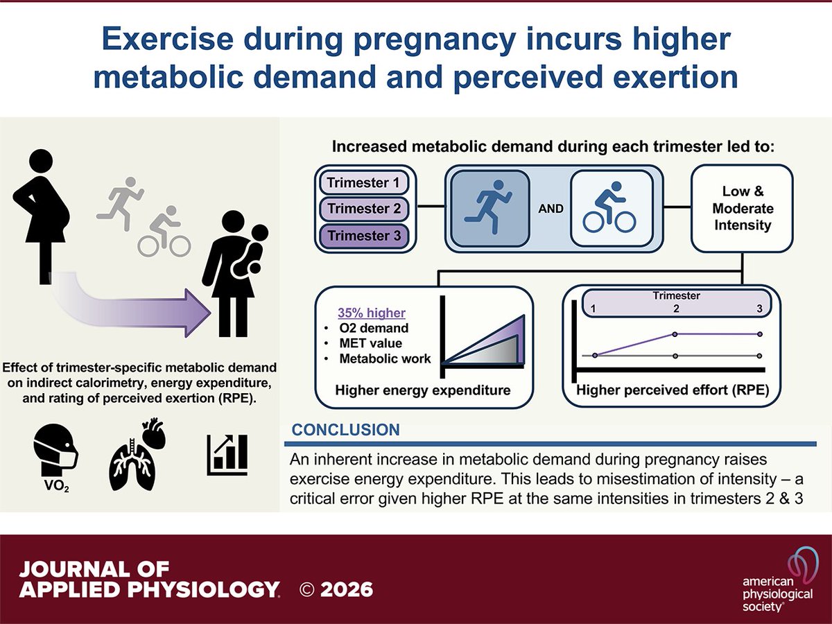 japplphysiol's tweet photo. Short Report by A Claiborne et al. #Exercise during #pregnancy: increased #oxygenuptake and #metabolicdemand
https://t.co/7yW8IRj2CL https://t.co/K6JImYTHZl