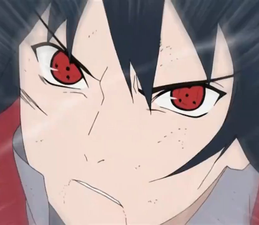 Sasukebust's tweet photo. 심통 잔뜩 난 고양이 미 있으심 https://t.co/wURgnEGvRK