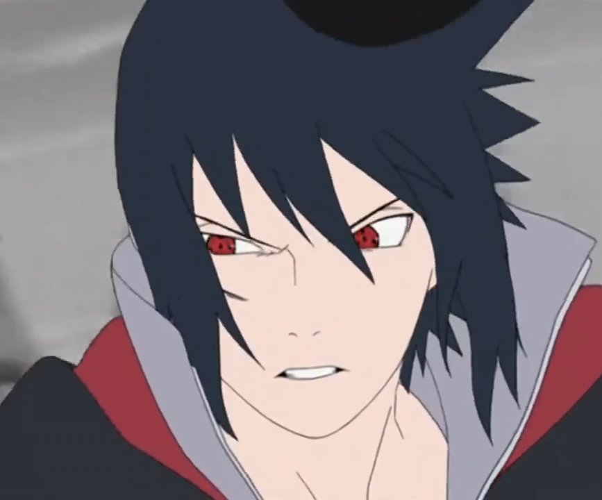 Sasukebust's tweet photo. 심통 잔뜩 난 고양이 미 있으심 https://t.co/wURgnEGvRK