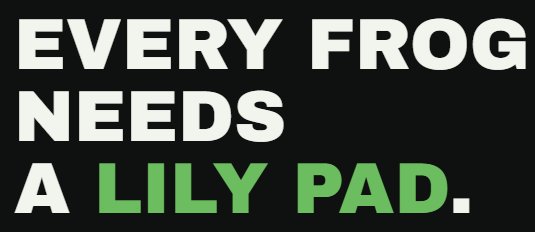 Sana_ShahUk's tweet photo. 🐸 LILYPAD IS NOW LIVE on https://t.co/9qEEnhpziL

🌐 Launching $LILY soon on https://t.co/2rbI7rA6rI

Time to revive the 2024 frog meta with low fees and unlimited launch options RWA's, meme pairs & sol pairs 🐸💚

💳 CA: 
CptM3kZFJ3xT9oRf3ec7vPyLnBfpUgiSojEJHoSSpump

🐦X: @LilyPadCash 

The frog meta is waking up again. 👀🔥

⚡ Low fees
♾️ Unlimited launch options
🏠 RWA pairs
🐸 Meme pairs
☀️ SOL pairs

One LilyPad. Endless possibilities. 🌿🔥

#LILY #LilyPad #Solana #PumpFun #FrogMeta #Memecoin