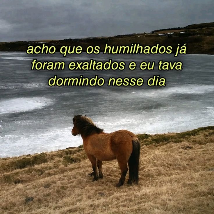 princessdudita's tweet photo. terça-feira https://t.co/ObFqQrD8No