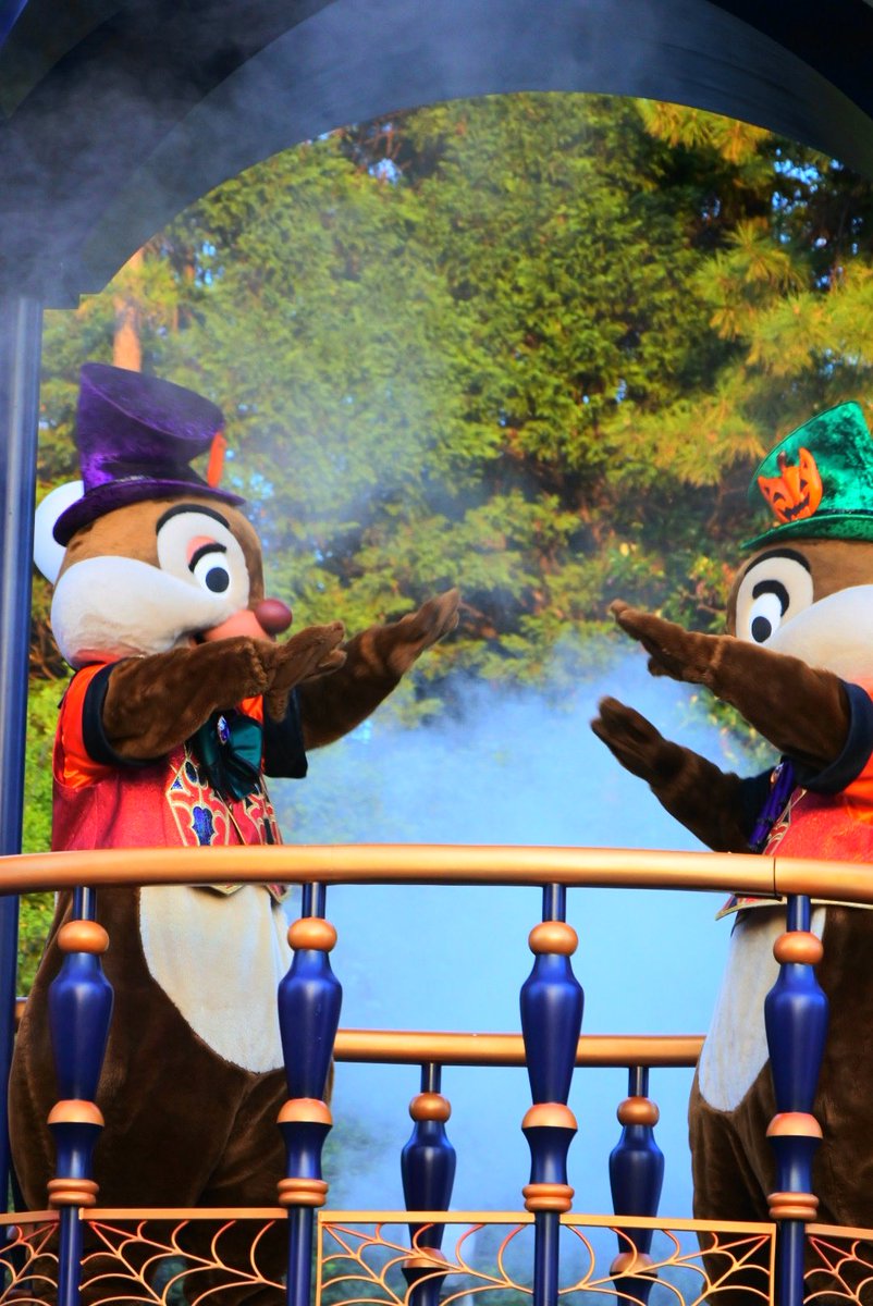 corin_zero's tweet photo. まだダメな気がする！
🐿️🐿️シリーズ https://t.co/7Qx2AIBIaU