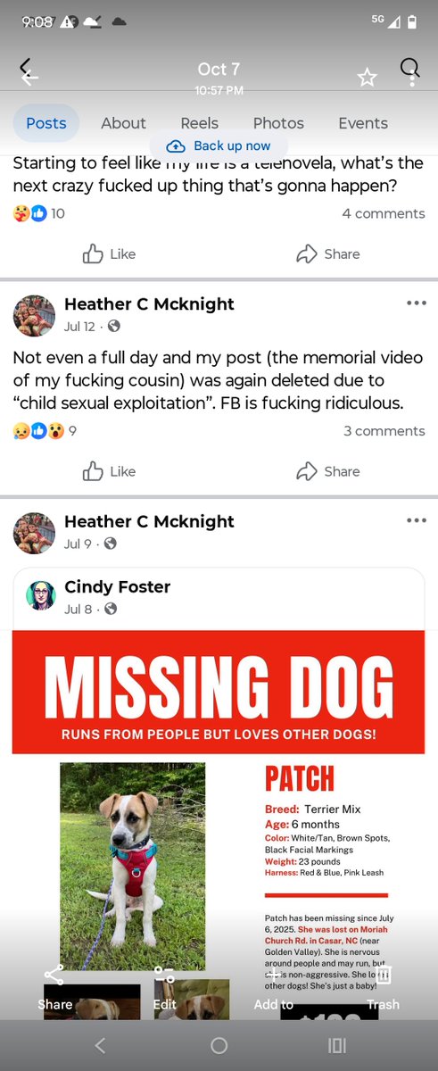 hauntedfun2025's tweet photo. LATER ON FACEBOOK HEATHER CHANGED HER NAME TO HEATHER MARIE in a desperate attempt to cover up about the post it's been over a year she has not been under arrest yet the double standards of local police
@FoxNews #facebook #lesbian @USAttyPirro #liberals #Trump #gooner https://t.co/blxr8kjnjF