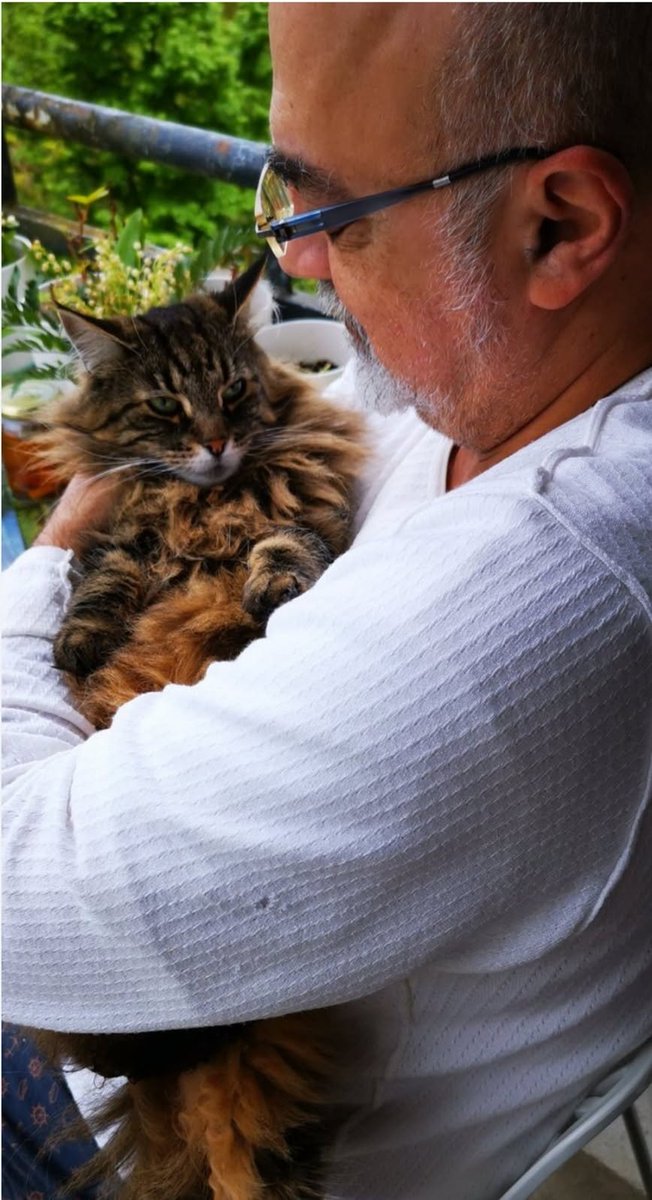 pierrejovanovic's tweet photo. En cette journée du 29 septembre des Archanges Gabriel, Mickaël, Raphaël, Uriel et les autres, Iris et moi souhaitons une jolie fête à tous ceux  et celles qui portent leur glorieux prénom (ainsi qu'aux espions, aux transmetteurs, aux parachutistes et aux facteurs PTT)  Soyez bénis des Anges ❤️💝🥂✨⭐🌟🌟🌟