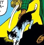 captainbbbucky's tweet photo. Figaro https://t.co/LEMMd2SrfR