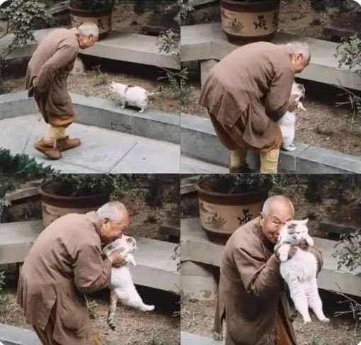 catshealdeprsn's tweet photo. Me everytime i see a cat https://t.co/hslmF59geB