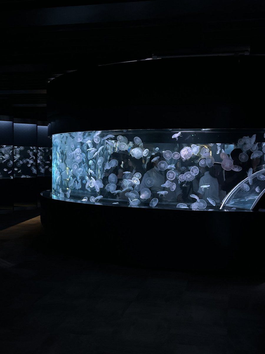 rokuhara_player's tweet photo. キャラバンの次の日はぺい太郎さんと水族館と鉄道博物館に行ったよーฅ•ω•ฅ
ペンギンのご飯タイム見たけど食に貪欲だったり他のペンギンに魚取られてたり、よく見るとそれぞれに個性があって面白かった。あと魚横取りするペンギンに飼育員のお姉さんが突っ込みいれててワロタw https://t.co/bBXlLyJvoc