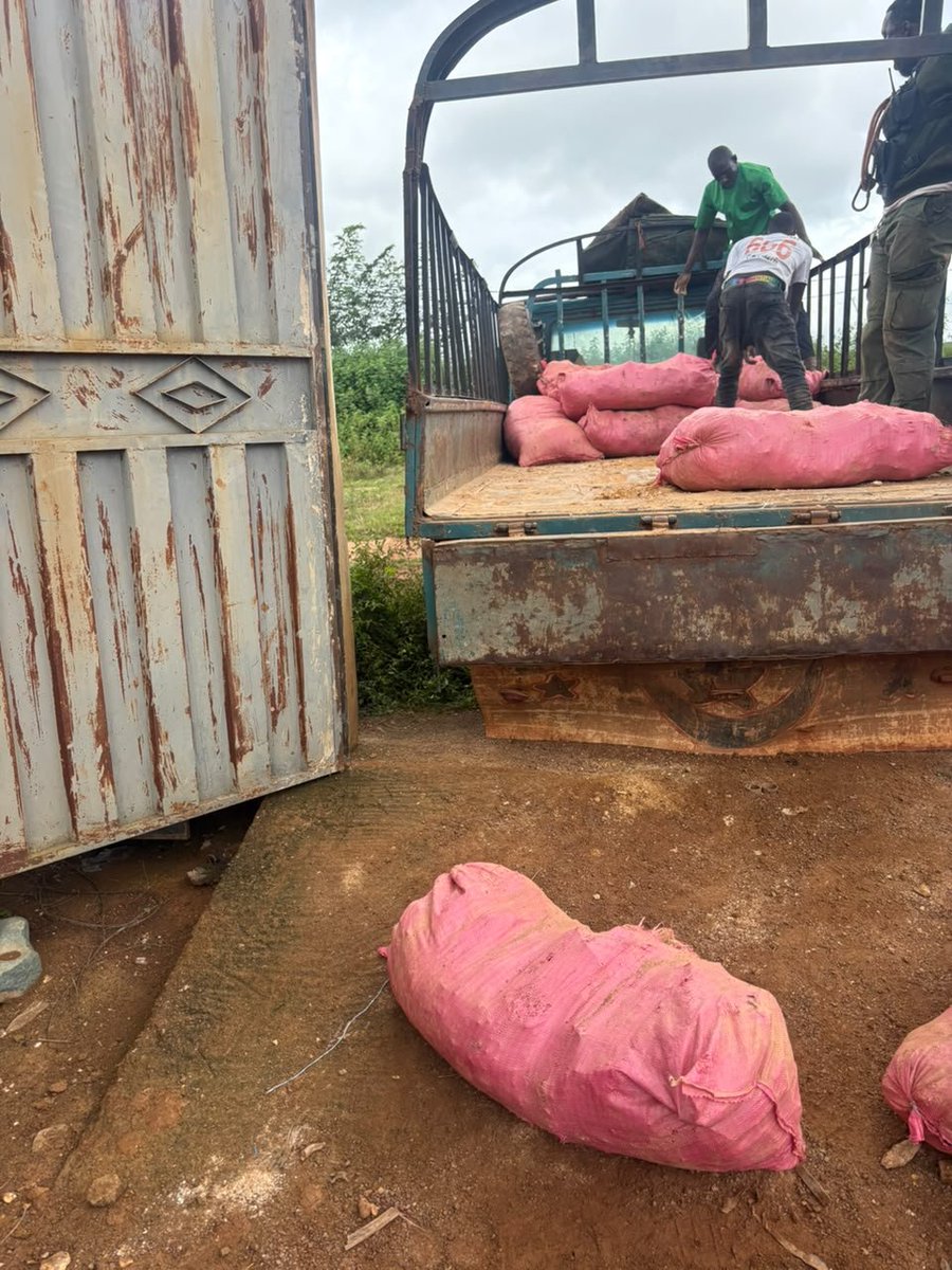 aip_agencepress's tweet photo. Côte d’Ivoire-AIP/M’Bengué : 70 sacs de minerai saisis à Tiébila par les Eaux et Forêts  https://t.co/DMtTomntxV https://t.co/EdxZqCz4za