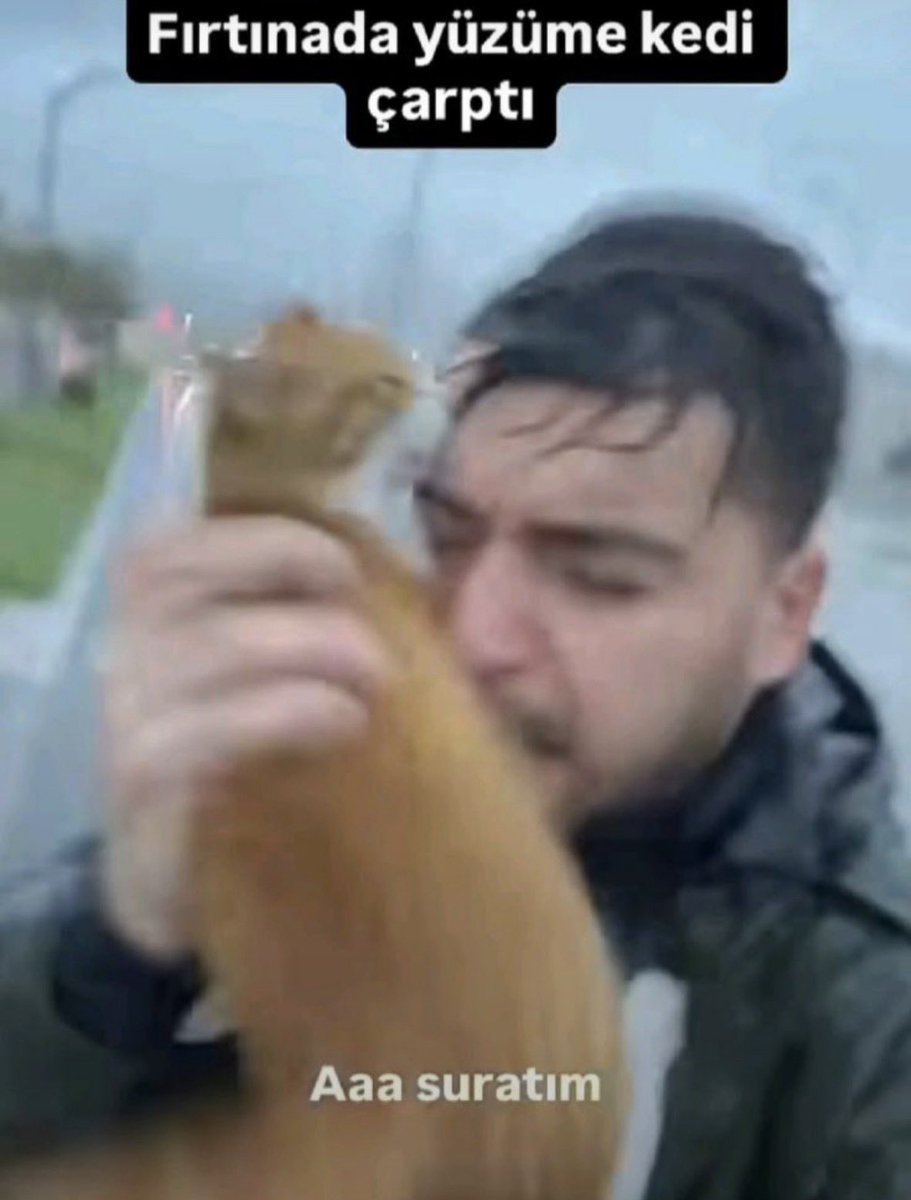 Ecemstano's tweet photo. @iamz___ https://t.co/S1eMScR6Y2