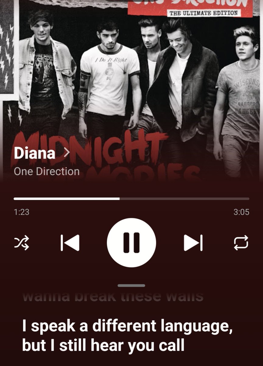 m719y's tweet photo. 言語の壁にぶつかったけど
1DのDianaを思い出して勇気だしてよかった https://t.co/35QtWjJJ5C