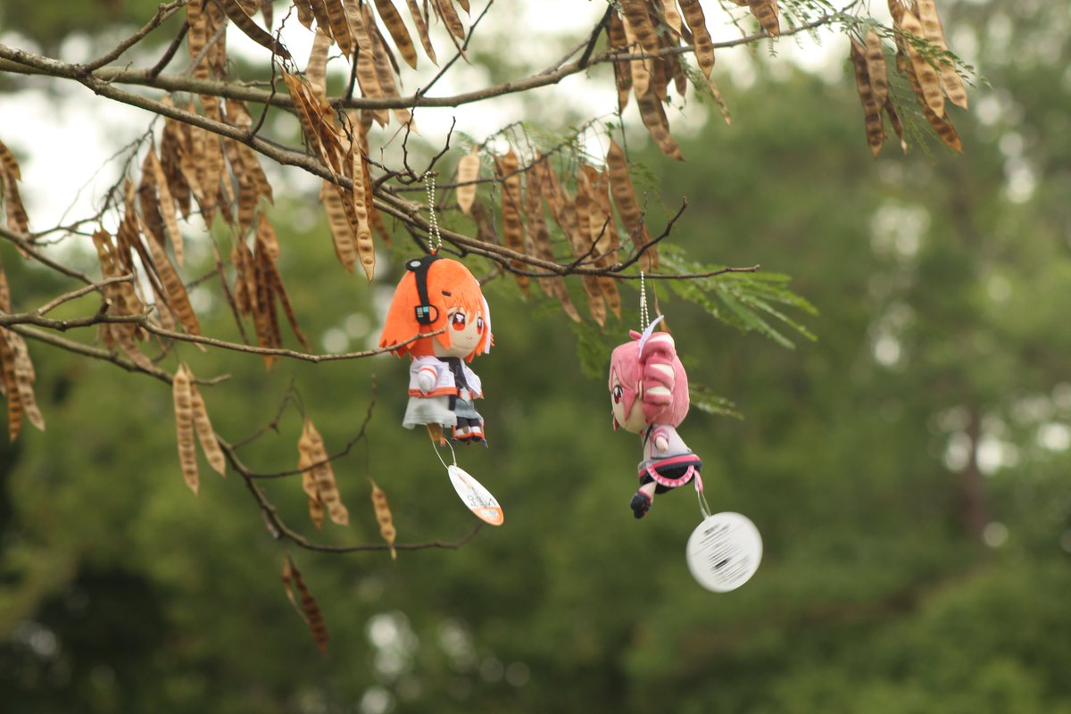 TetoPlushPic's tweet photo. they are blowing in the wind https://t.co/02GoQvj86e