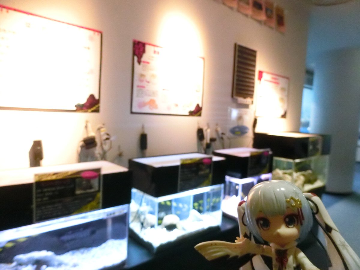 mabo2dayo's tweet photo. ｢常設展示はここまでにして、秋の特別企画、武器を持つ危険な生き物展～♪｣
…はーい https://t.co/BrNwdmNJ5j