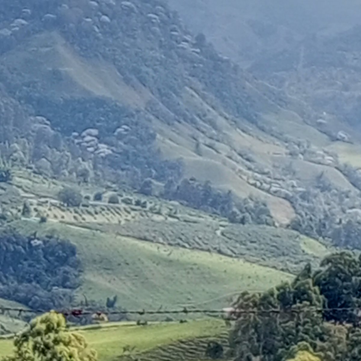 TamayoMk97527's tweet photo. La Actual Señora Ministra @elsanoguerabaq Cuando Fué Alcaldesa De @alcaldiabquilla Ganó Un Premio #MejorAlcalde De Colombia #Iba A Canalizar Todos Esos Arroyos: ¿Eso Se Hizo? Se Ejecutó?
Felicitaciones Seño @MinTransporteCo https://t.co/qwkGZHoaYT