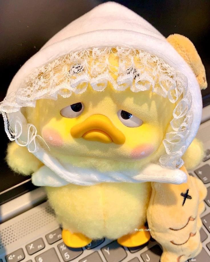 seblakipop's tweet photo. eunho gemes banget kaya upset duck aaaaaaaaa😩🤏🏻🤏🏻 https://t.co/GYkFH5hLpV