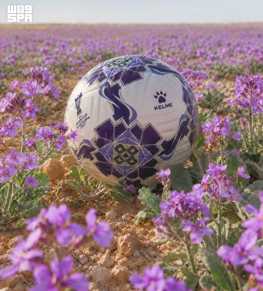 SPA_Spor's tweet photo. "خزامى" الكرة الرسمية لكأس آسيا السعودية 2027.
https://t.co/5bUNTDfeZe
#واس https://t.co/xMx44of8Mu
