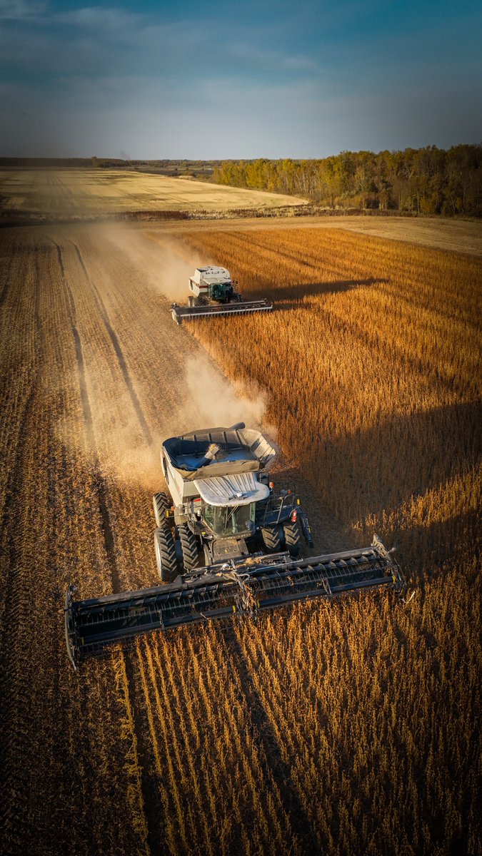 GleanerCombines's tweet photo. Built for how you farm.
📸 Logan Craplewe
📍East Selkirk, Manitoba
#GoGleaner #Harvest26 #ProvenDesign #AchieveBetter https://t.co/D1Z5wZPpbn