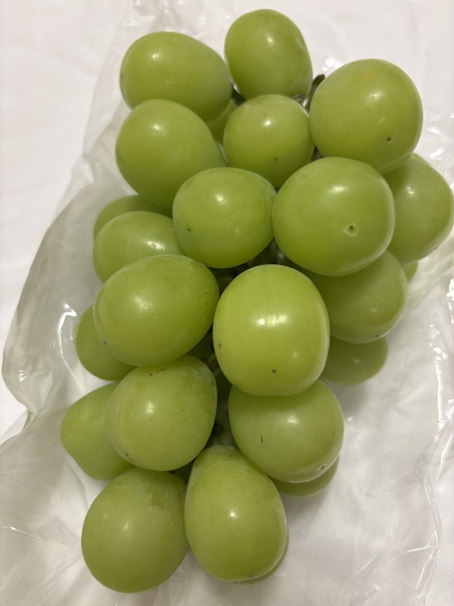 macchaki2026's tweet photo. 実りの秋です
お客さんからいただきました🍇 https://t.co/uduUGsjt0G
