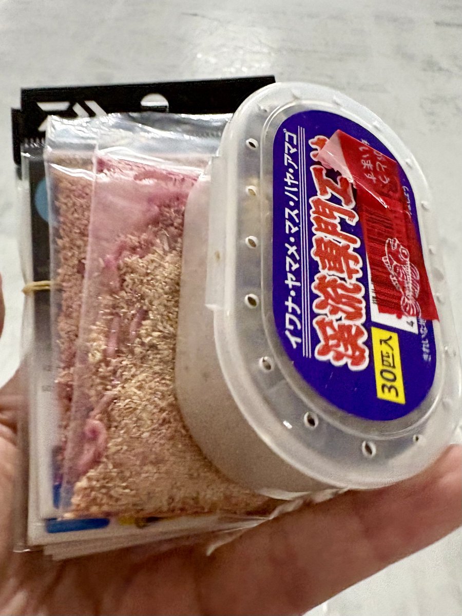 tanumaFuku's tweet photo. 肉の日でポイント二倍！
恒例の焼肉きんぐ🍖
さすがに牛タンも飽きてきたため、いつもと違うお肉を食べた🤭 https://t.co/fW7ac8KmcO