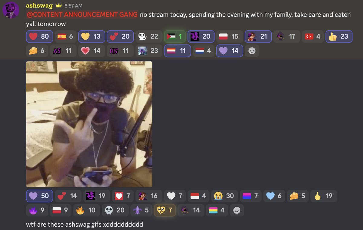 olivestarz's tweet photo. no ash stream today but he HAS unlocked discord gifs of himself ! https://t.co/QVvHUee5Mc