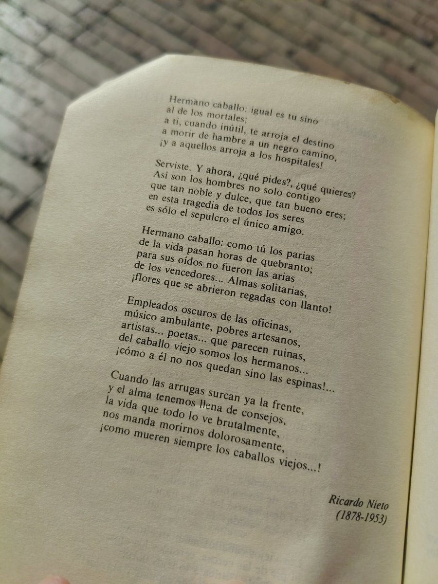 el_bembon's tweet photo. Fragmento del poema "La oración de los caballos viejos" de Ricardo Nieto: https://t.co/7DImsNKgdh