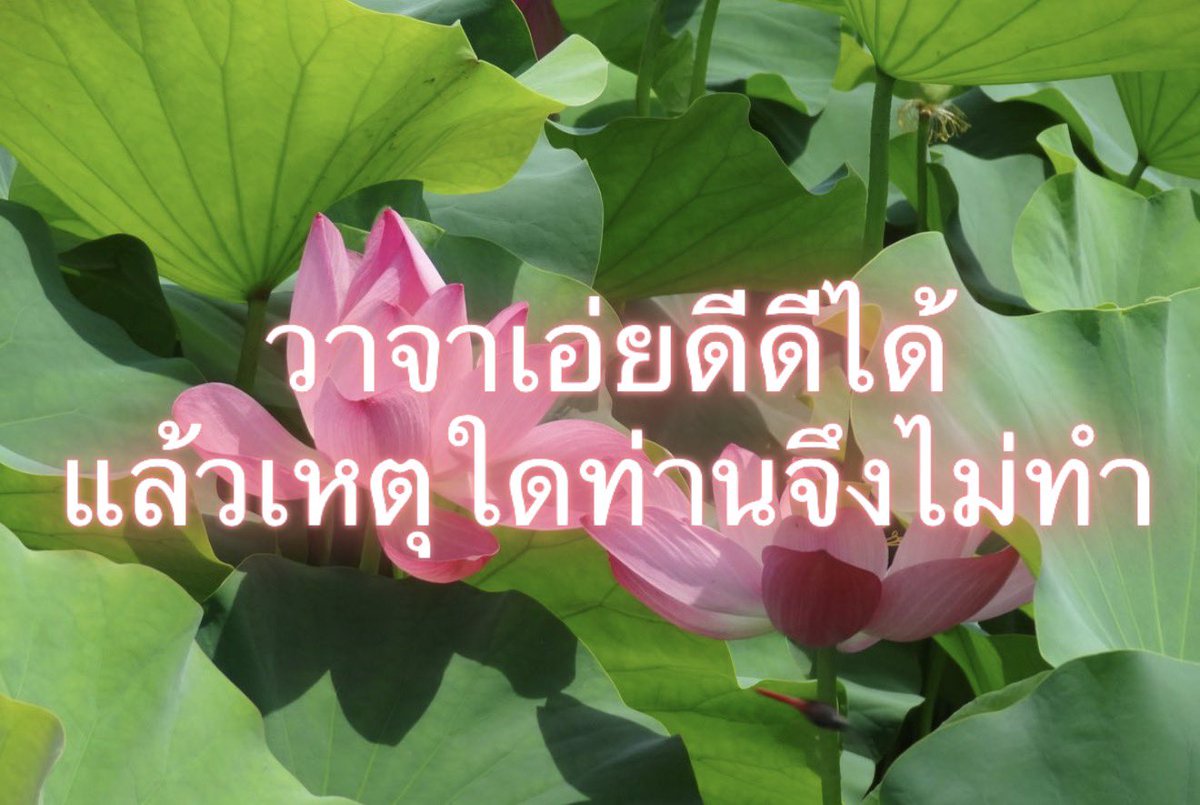 Iaunza's tweet photo. https://t.co/wbPHtHI26u