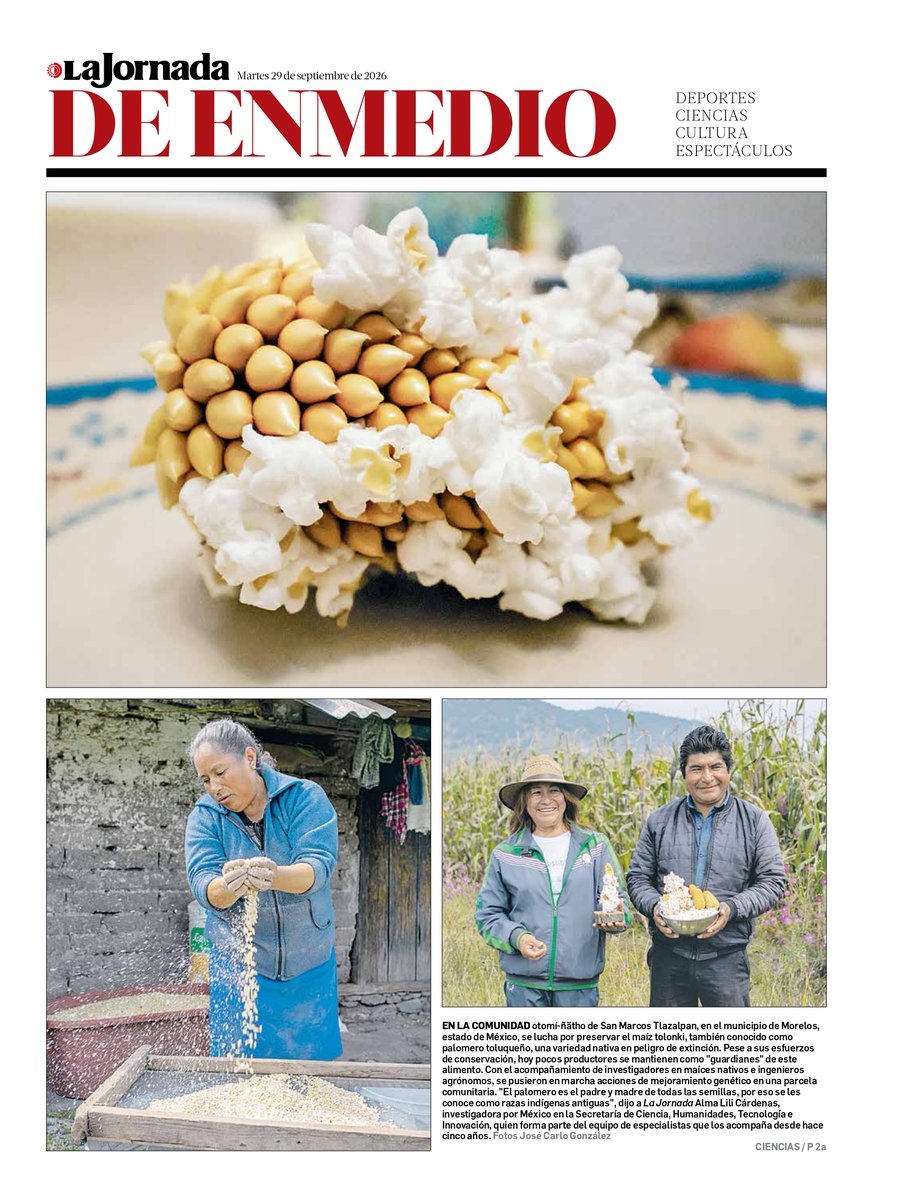LaJornada tweet picture