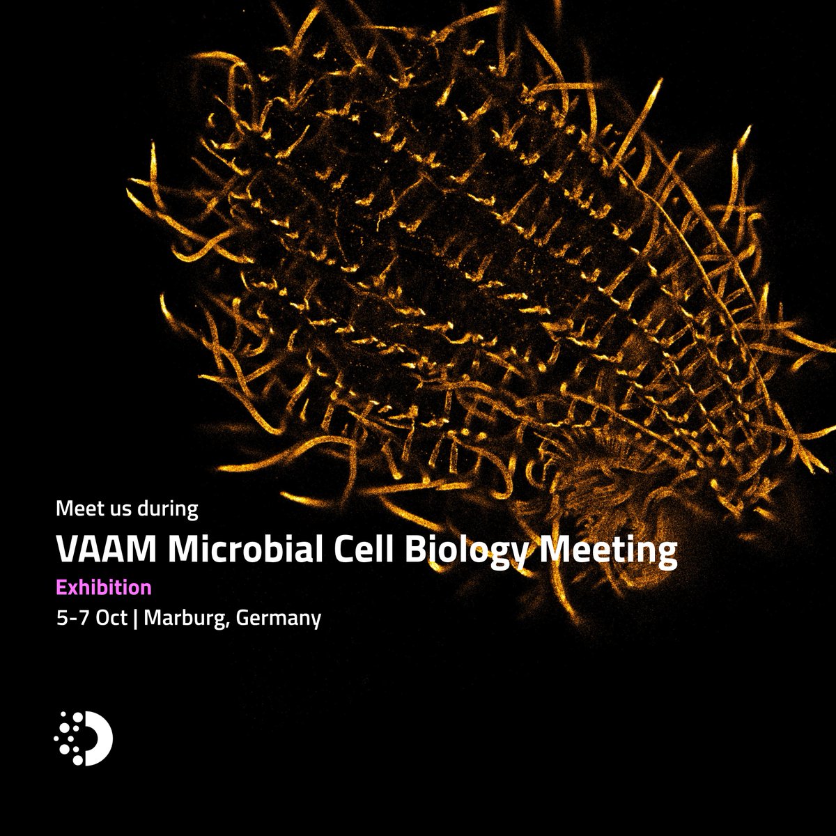 abbelight's tweet photo. 🔬 See you in Marburg! 
We are exhibiting at the 6th VAAM Microbial Cell Biology meeting, 5–7 Oct 2026.

Catch Frank Drechsler's talk Tue 6 Oct, 14:00, then visit our booth to see how SMLM resolves bacterial nanostructures at ~10–20 nm.

#Microbiology #SMLM #VAAM https://t.co/QHNRBPYeJX