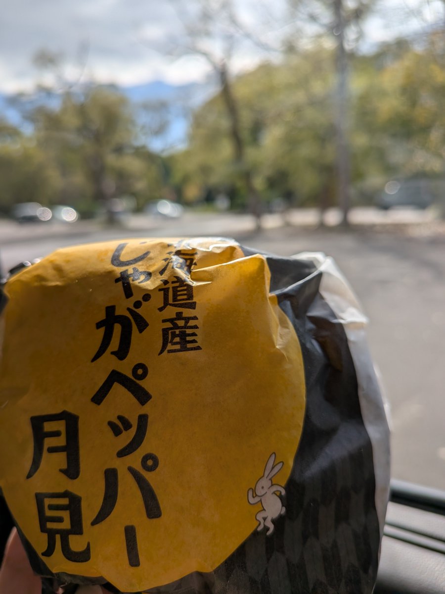 pikapikapeeee's tweet photo. 慎吾ちゃんのCMのじゃがペッパー月見食べたー！初月見美味しかったー！きっかけをありがとー！せっかくだから大泉さんに飛び越えてもらおうとしたけど結構な厚みで飛び越えられなかったよ☺️ボリューミー！
#北海道産じゃがペッパー月見 https://t.co/mjkzfyrJSc