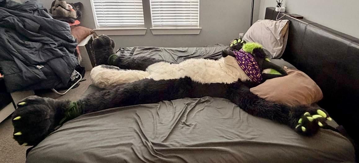 ZephTheWolf's tweet photo. mandated nap time

#TiedUpTuesday https://t.co/VtqPdiKmen