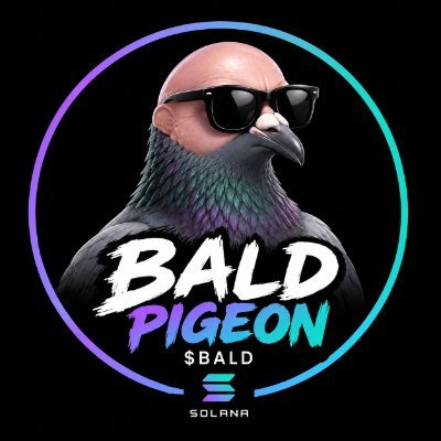 BaldPigeonzc's tweet photo. We Will Never Give Up No One Can Ever Stop Us Until We Achieve Our Goals Keep Pushing

https://t.co/mVAmh6boyg https://t.co/vagZ1IPilF