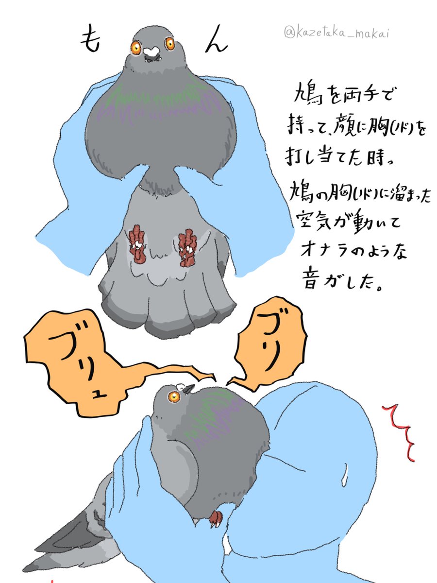 kazetaka_makai's tweet photo. 【再掲】空気の音🕊️
❁レース鳩❁ドバト❁カワラバト❁
❁Pigeon❁Dove❁ https://t.co/9oFOqTB73h