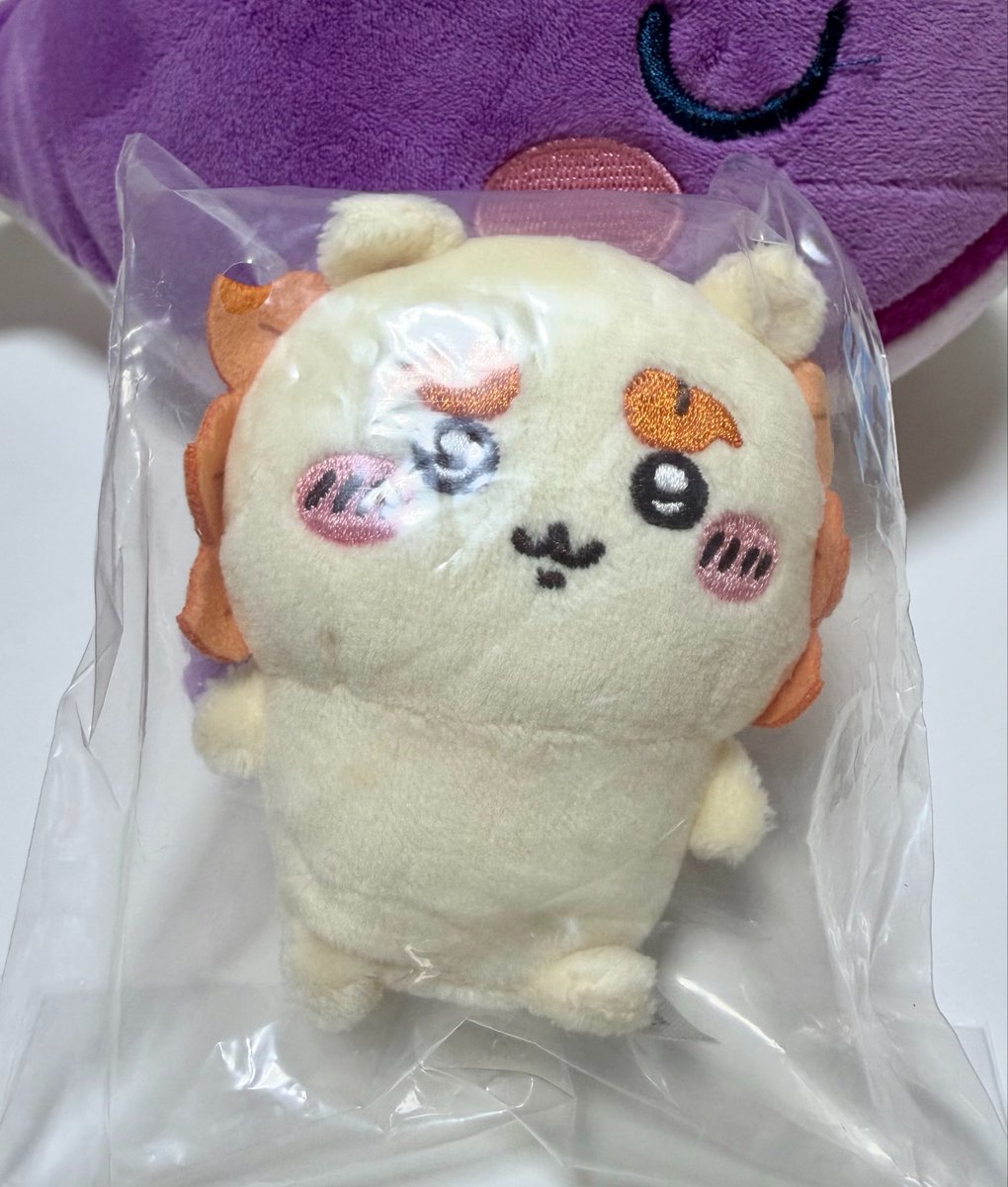 pipijk0613's tweet photo. ちいかわ おすわりぬいぐるみ①

【譲】シーサー
【求】定価+送料

画像2枚目を了承していただける方、シーサーちゃんを大切にしていただける方にお迎えしていただきたいです( ˊᵕˋ )💖
検索からでもお気軽にお声掛けください🙇‍♂️ https://t.co/Y3Yk5zHmG8