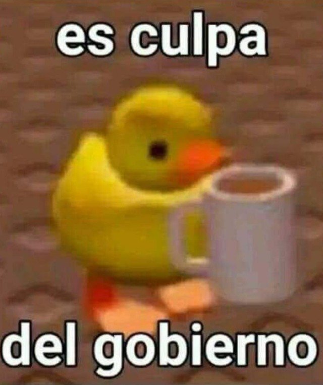 UmitaaaLOL's tweet photo. Mañana tengo examen y en lo único que pienso es en este maldito pájaro #roadrunner #coyotevsacmeㅤㅤ 
"It's Acme's fault." https://t.co/Bs8yyBq4q1