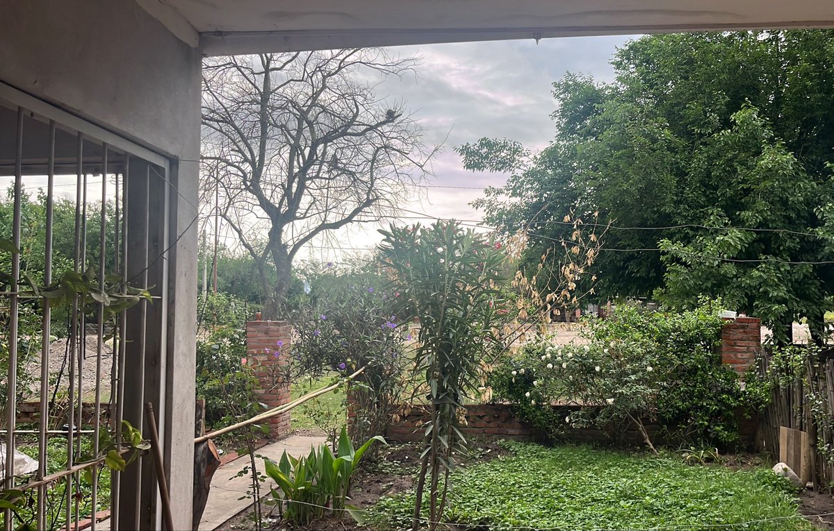 marugavilan's tweet photo. Mi ventana desde Mixta un pueblito en Tucumán! #nadiedicenada https://t.co/gxowREFxCR