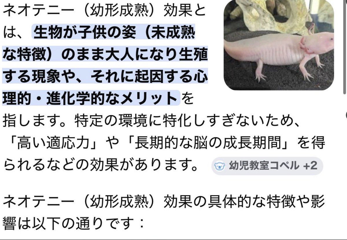 lipline_koike's tweet photo. 【唇ぷっくり可愛く見える理由は「ネオテニー（幼形成熟）効果」です】

ふっくら小さく丸い唇は、本来"幼児"の特徴。大人の完成された顔の中で、唇という一部分だけに幼さが宿る。この「大人×子どものギャップ」こそが、脳に"可愛い"と認識させるんです。

だから韓国のアイドルは、大人顔なのに唇だけぷっくりされてる方が多いです。