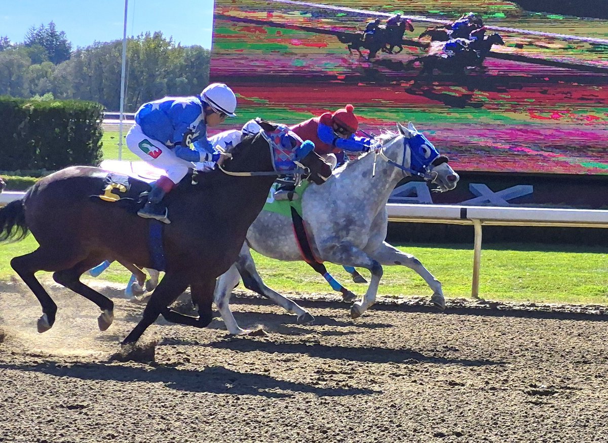 jensblog's tweet photo. These two fellows dead heated for the win @AjaxDowns last week...Run Away Sugarman and All Outta Sugar! How sweet it is! Corry Beland and Ramiro Castillo riding https://t.co/1vjclRTH7O