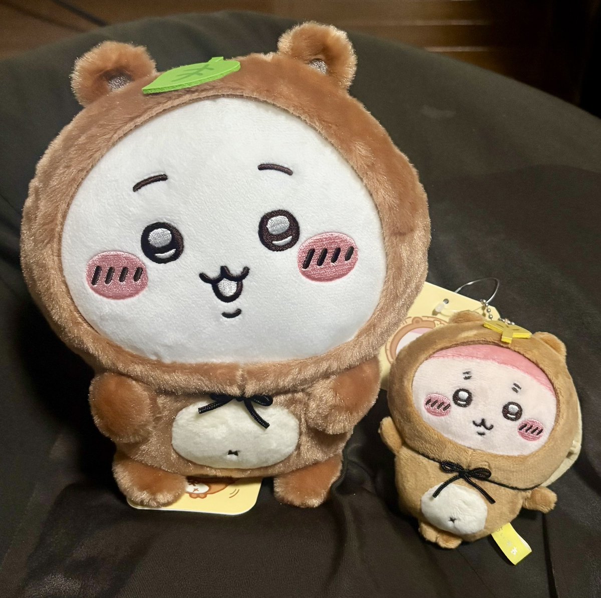 nbtbsv's tweet photo. たぬきだもんぬいです😁
#ちいかわ  #ちい活  #ぬい撮り https://t.co/1PBrEHti9U