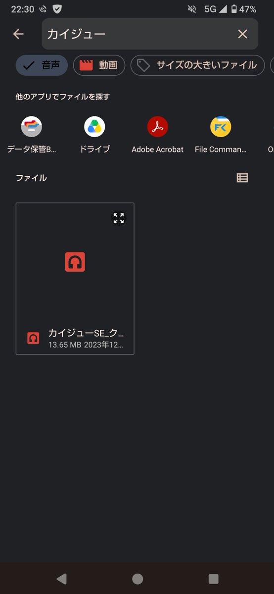 Stclean3's tweet photo. カイジューバイミー強いライブ観たあと、テンション上がり気味にカイジュー曲聴きながら帰ろうとしたらカイジュー曲全部スマホから居なくなってたんだけど😢
何故かSEクリスマスVerだけ残ってる⋯
どういう現象なんでしょうかこれ？ https://t.co/Xd6kUleJ13