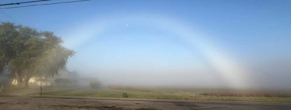 MarcWeinbergWX's tweet photo. What in the world is that? It can’t be a rainbow because it didn’t rain today. Odd, the colors are also way muted for a rainbow, so what is this? This is a rare fogbow. We see these become more common in late Summer or early Fall when fog becomes more likely on our cooler night. These are formed off the tiny suspended water droplets in the fog, so the fogbow is kind of a cousin on the rainbow. 🌈 

📷 sent to me by Whitney Arnett from Hanover, IN.