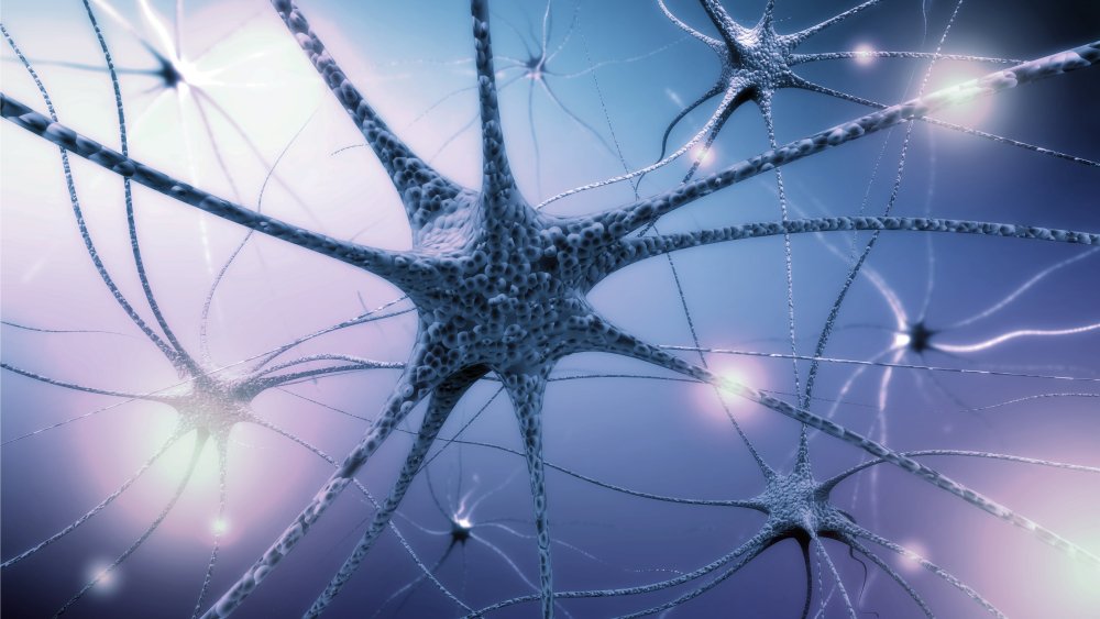 NightSkyToday's tweet photo. 🚨: Scientists say, just two hours of silence daily can grow new brain cells and boost memory. https://t.co/1aWJ5Z2vQL