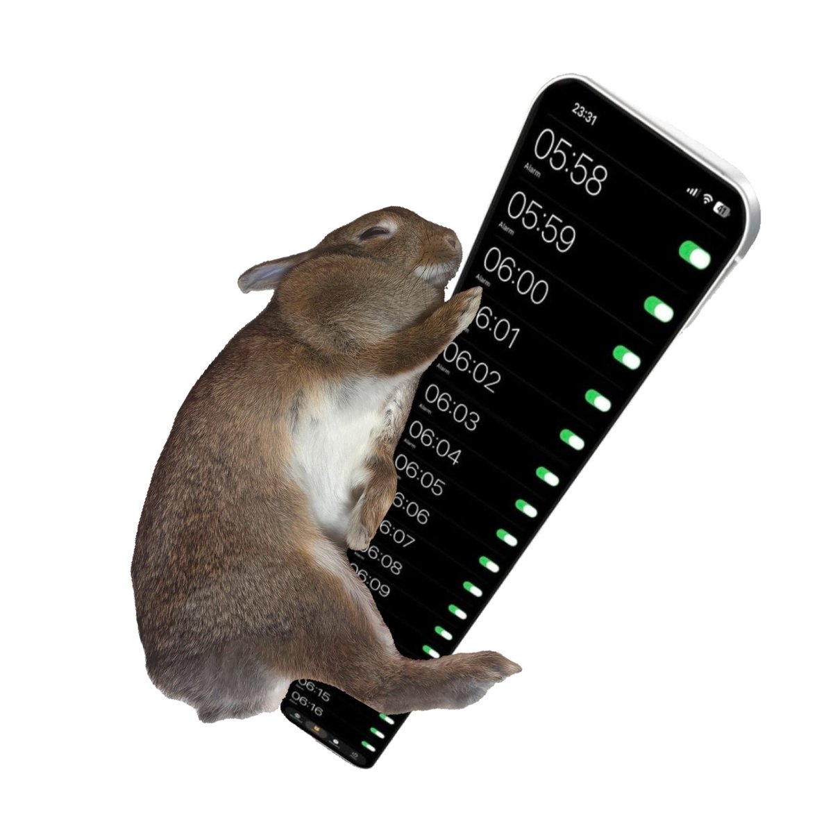 Bunnies's tweet photo. https://t.co/so5PHXEYJu
