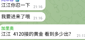 Metamental | 方外之域 的图片 1