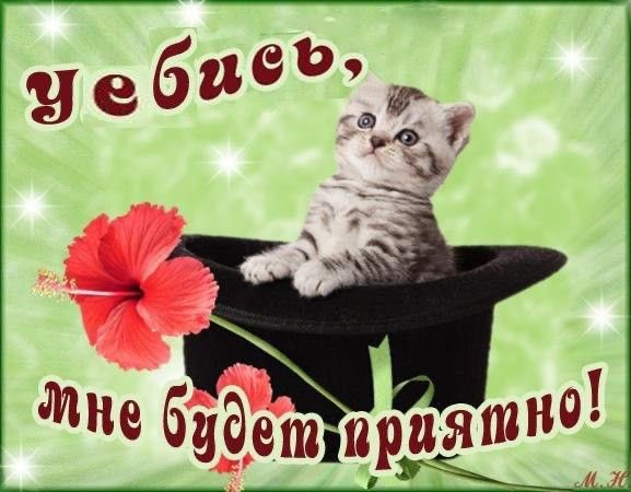 nanbreadxleb's tweet photo. сегодня дамп https://t.co/0O4ykRjFtl