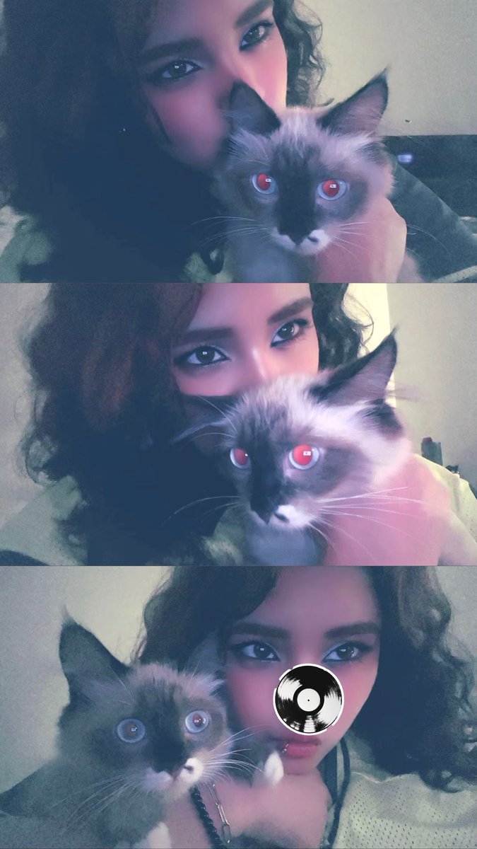 riir_j4's tweet photo. زوط للحساسيه اعششق القطاوه🫶🏻🐱 https://t.co/I36dsQsYnl