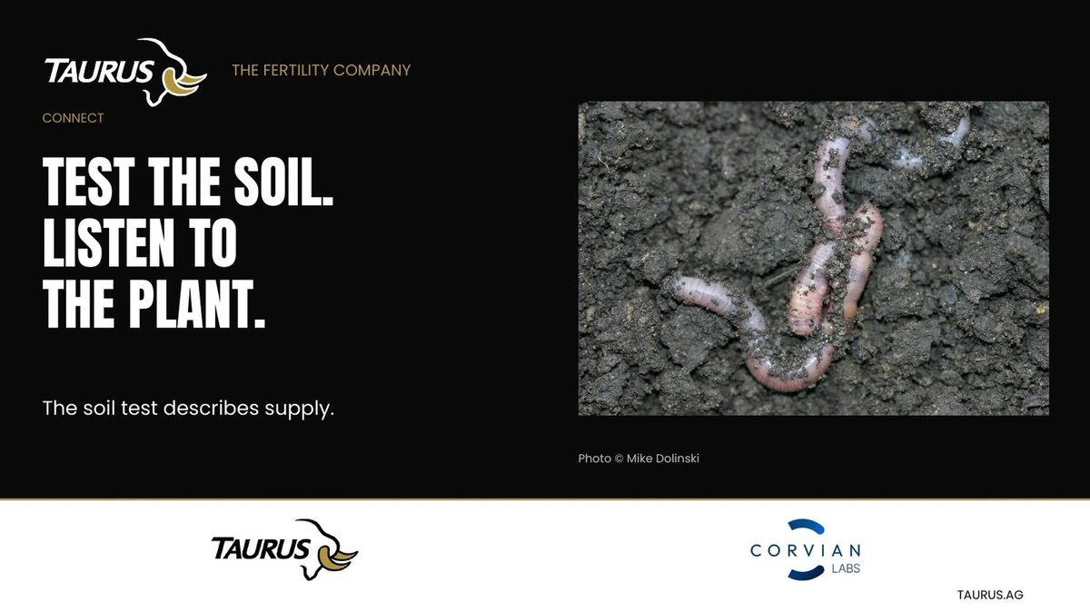 TaurusAgTeam's tweet photo. Use soil and plant analysis to ask a sharper question.

Taurus soil analysis helps establish the field’s nutrient starting point.

https://t.co/VUujGTuRvk https://t.co/IY6PuGrONJ