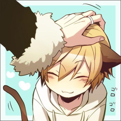 telockaso's tweet photo. I’m not gay but like I love when guys way taller then me call me good boy or pet my hair https://t.co/hwi9T2QzZc