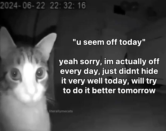 literallymecats's tweet photo. https://t.co/OYh7KV3bKN
